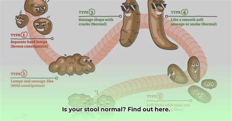 Moderate Stool Burden