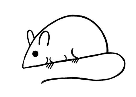 Mouse Drawing