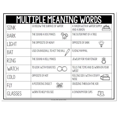 Multi Meaning Words