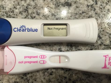 Negative Pregnancy Test