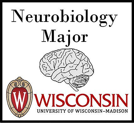 Neurobiology Major