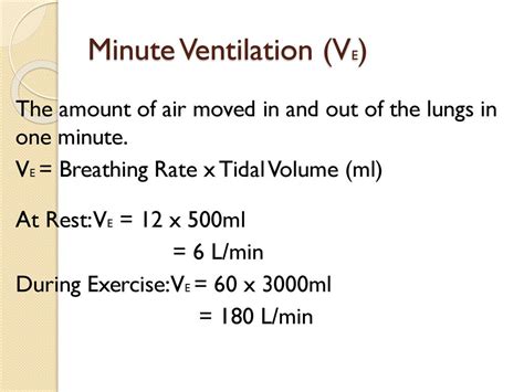 Normal Minute Volume