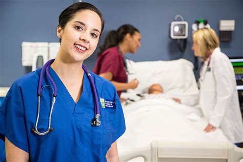 Online Lvn Program