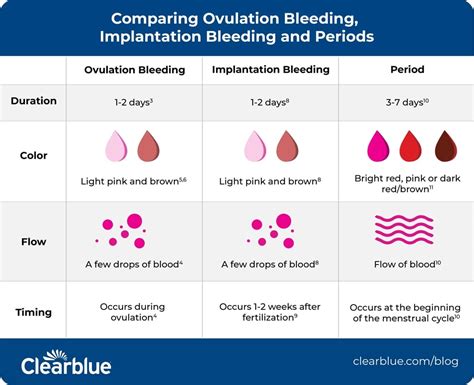 Ovulation And Blood