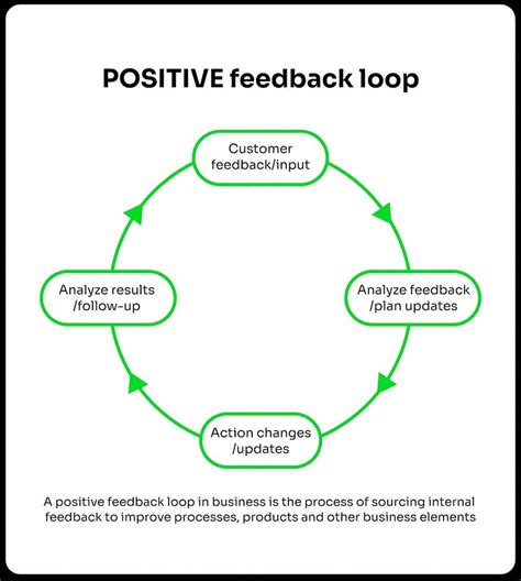 Positive Feedback Loop Examples