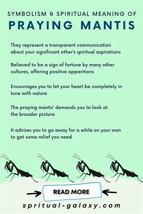 Praying Mantis Spiritual Meaning
