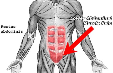 Pull An Abdominal Muscle