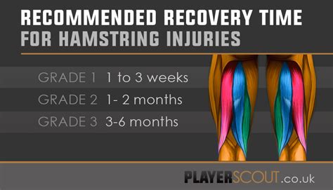 Pulled Hamstring Recovery Time