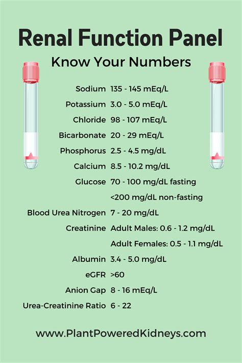 Renal Function Panel