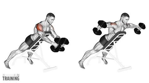 Reverse Flys Exercise