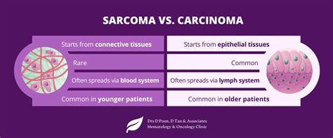 Sarcoma Vs Carcinoma