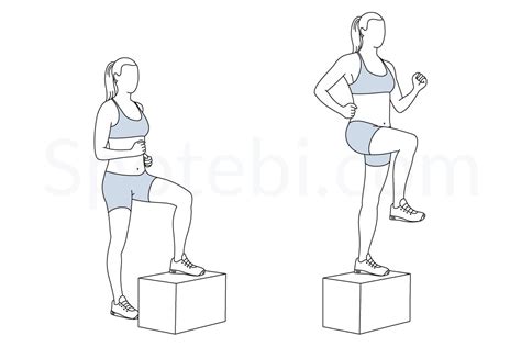 Step Ups Exercise