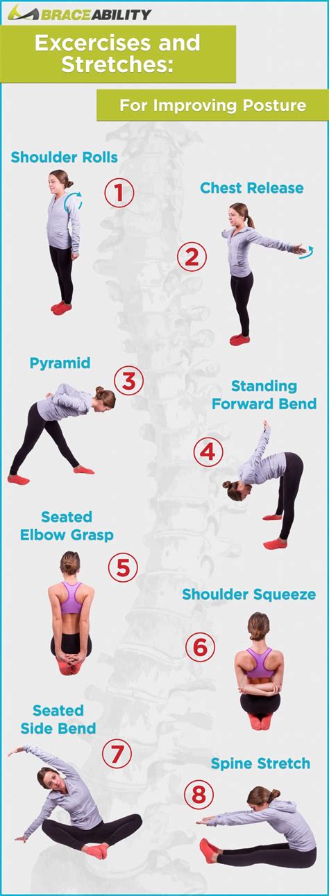 Stretching Exercises Posture