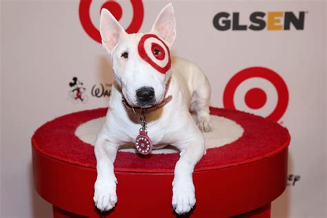 Target Dog Name