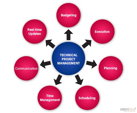 Technical Project Manager