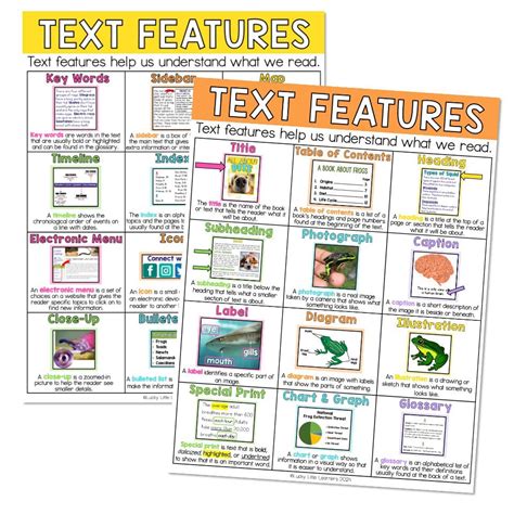 Text Features Defined