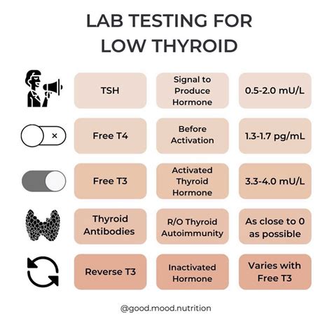 Thyroid Panel Test