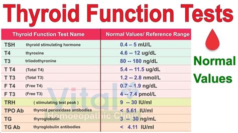 Thyroid Panel With Tsh