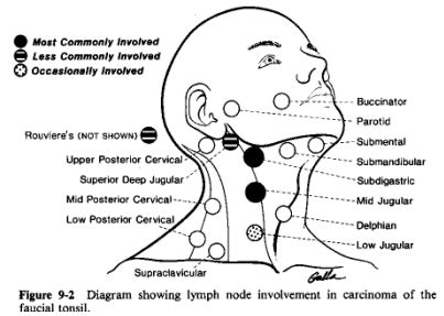 Tonsillar Lymph Node