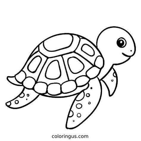 Turtle Coloring Pages