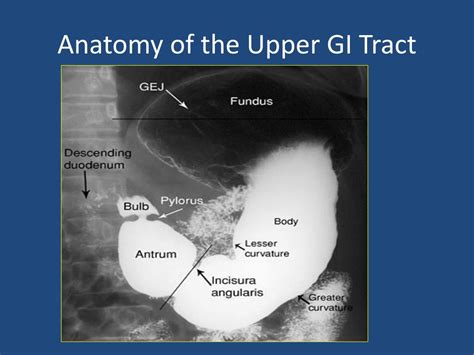 Upper Gi Series Test