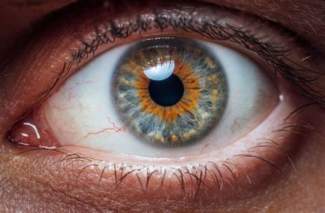Veins Inside Eye