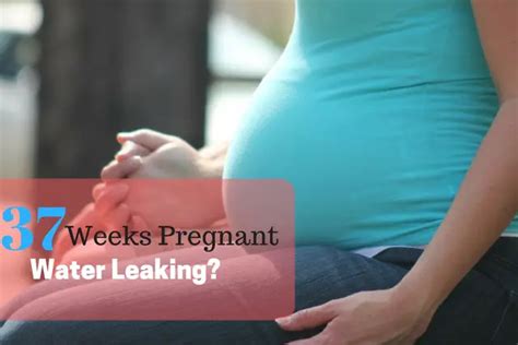 Water Leaking When Pregnant