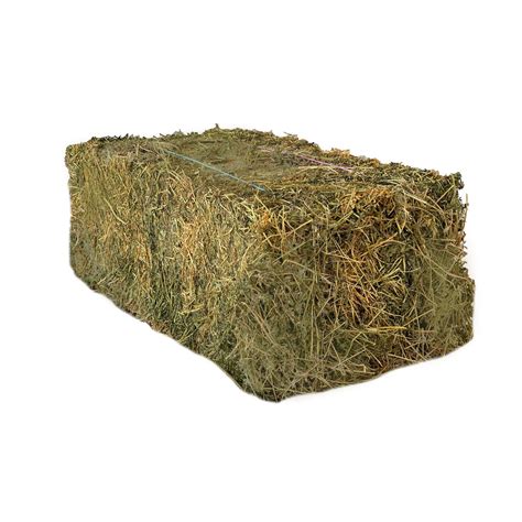 What Is Hay