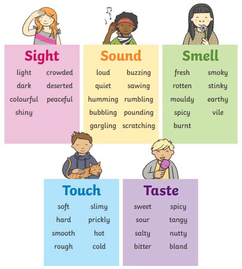 What Is Sensory Language