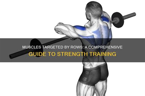 What Muscles Do Rows Work