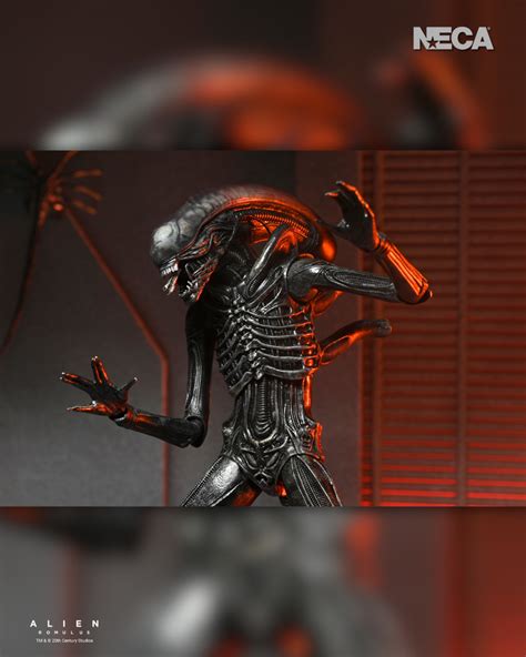 Xx 121 Xenomorph